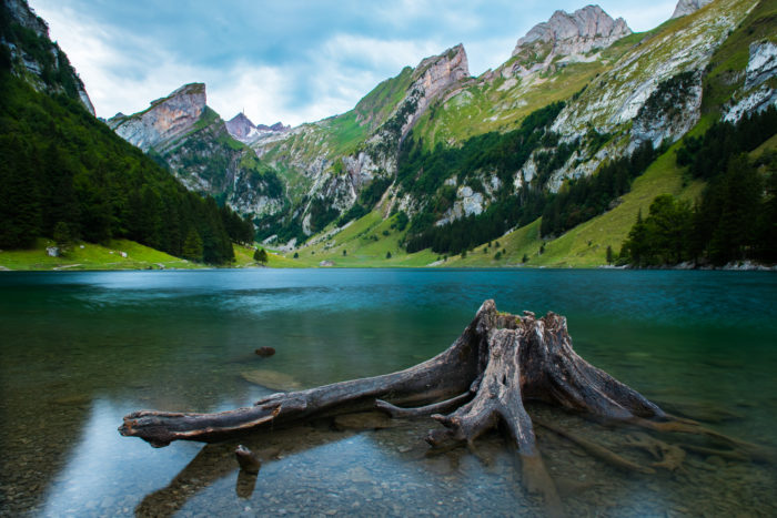 meet-switzerland